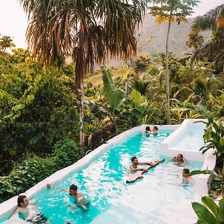 The Valley Tayrona Hostel- A Social Jungle Hostel El Zaino Eksteriør bilde