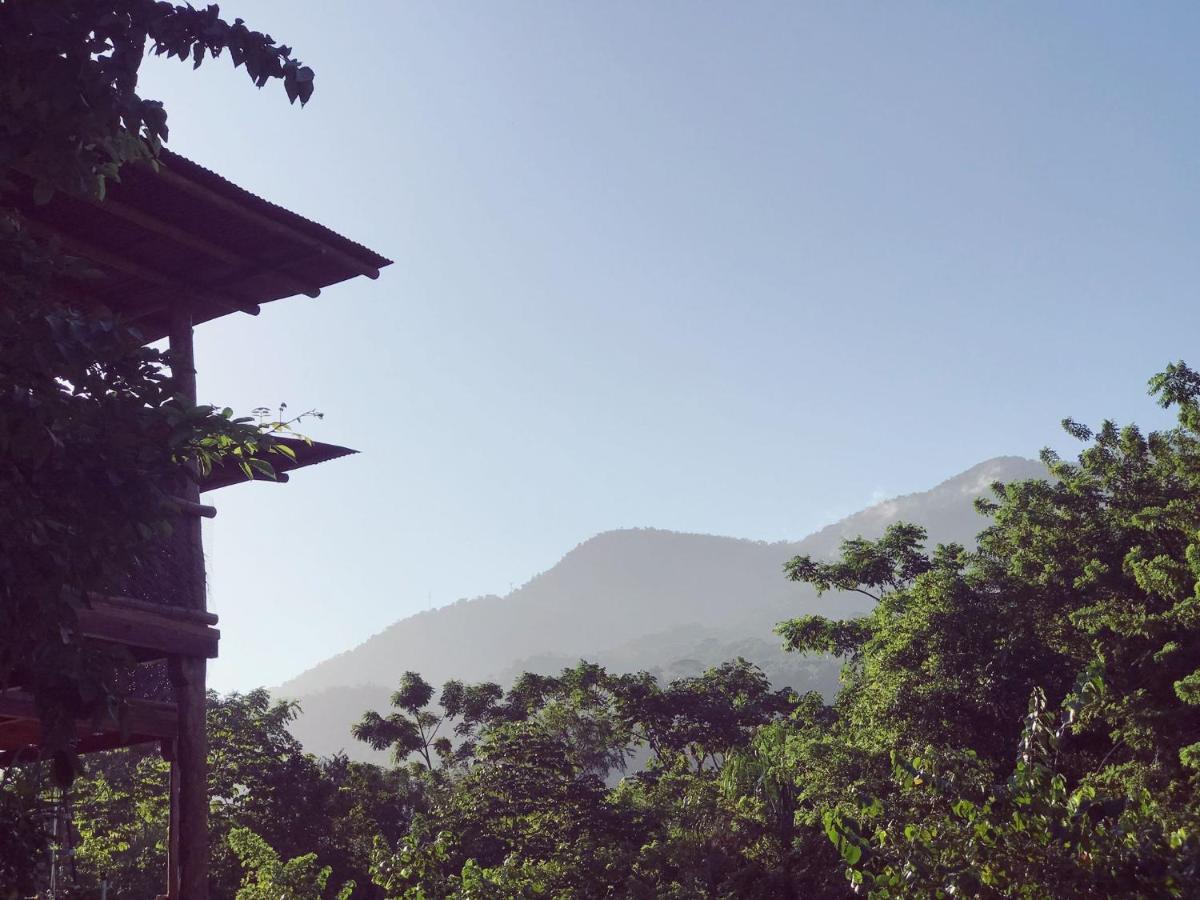 The Valley Tayrona Hostel- A Social Jungle Hostel El Zaino Eksteriør bilde
