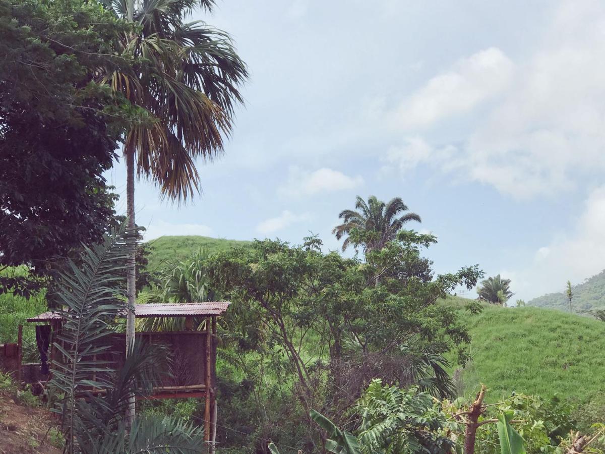 The Valley Tayrona Hostel- A Social Jungle Hostel El Zaino Eksteriør bilde