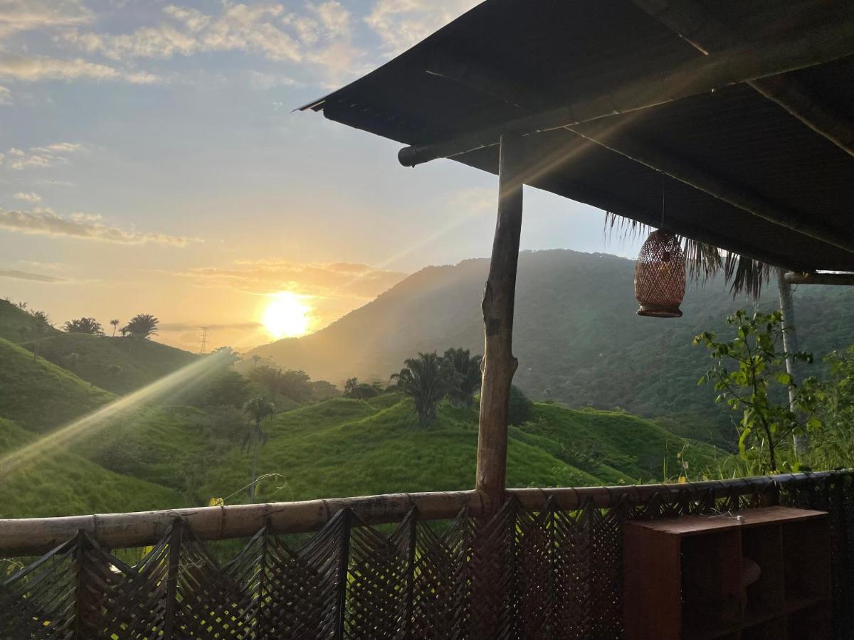 The Valley Tayrona Hostel- A Social Jungle Hostel El Zaino Eksteriør bilde