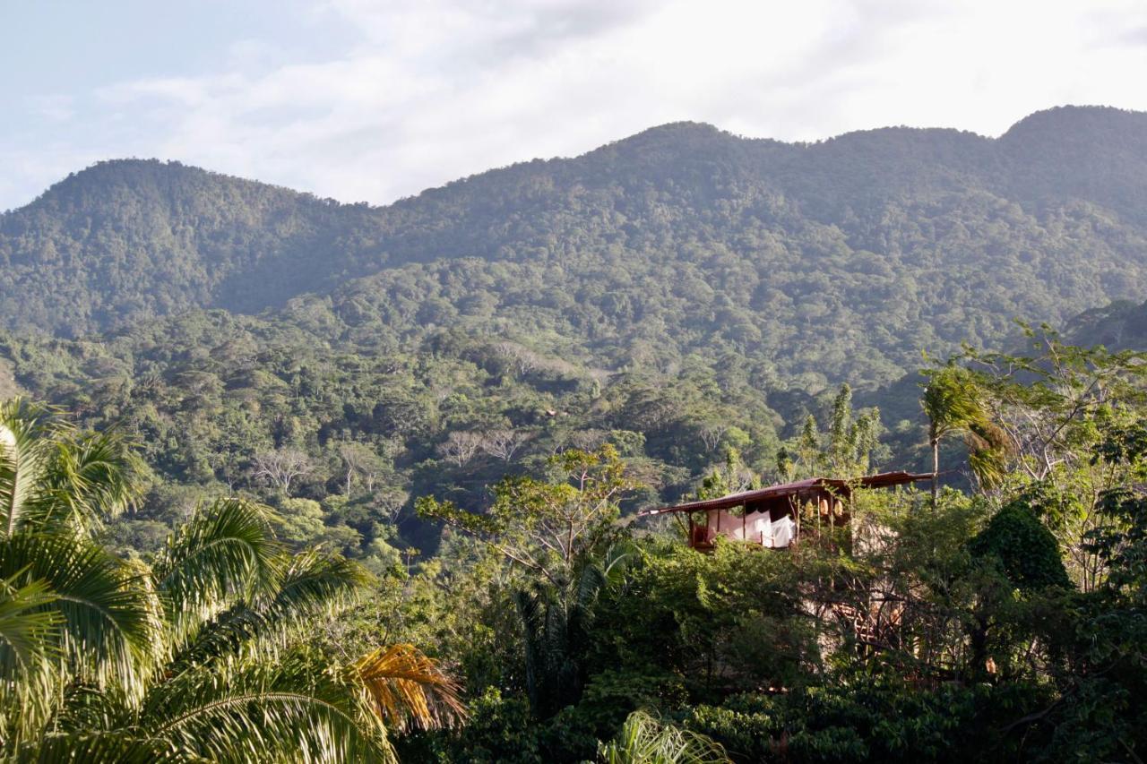 The Valley Tayrona Hostel- A Social Jungle Hostel El Zaino Eksteriør bilde