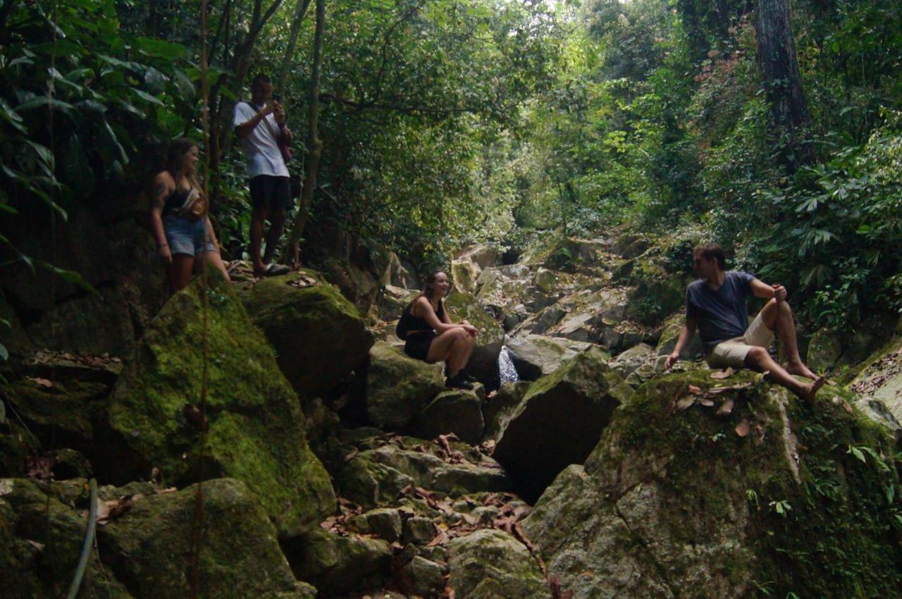The Valley Tayrona Hostel- A Social Jungle Hostel El Zaino Eksteriør bilde