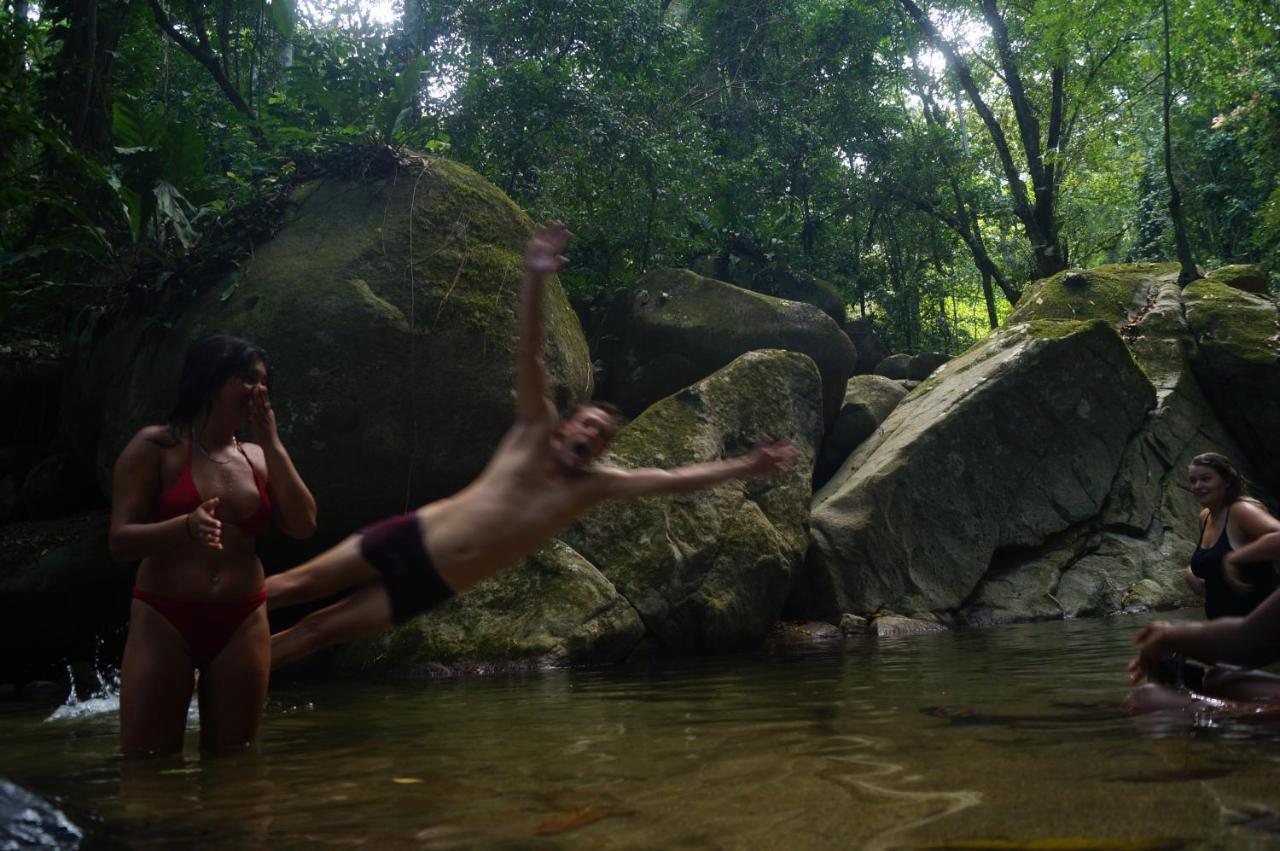 The Valley Tayrona Hostel- A Social Jungle Hostel El Zaino Eksteriør bilde