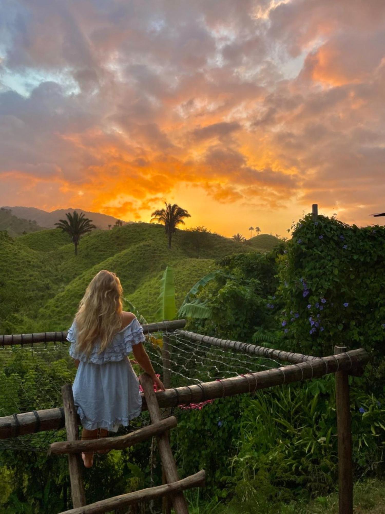 The Valley Tayrona Hostel- A Social Jungle Hostel El Zaino Eksteriør bilde