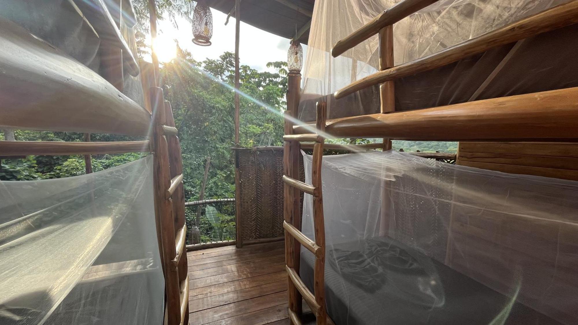 The Valley Tayrona Hostel- A Social Jungle Hostel El Zaino Eksteriør bilde