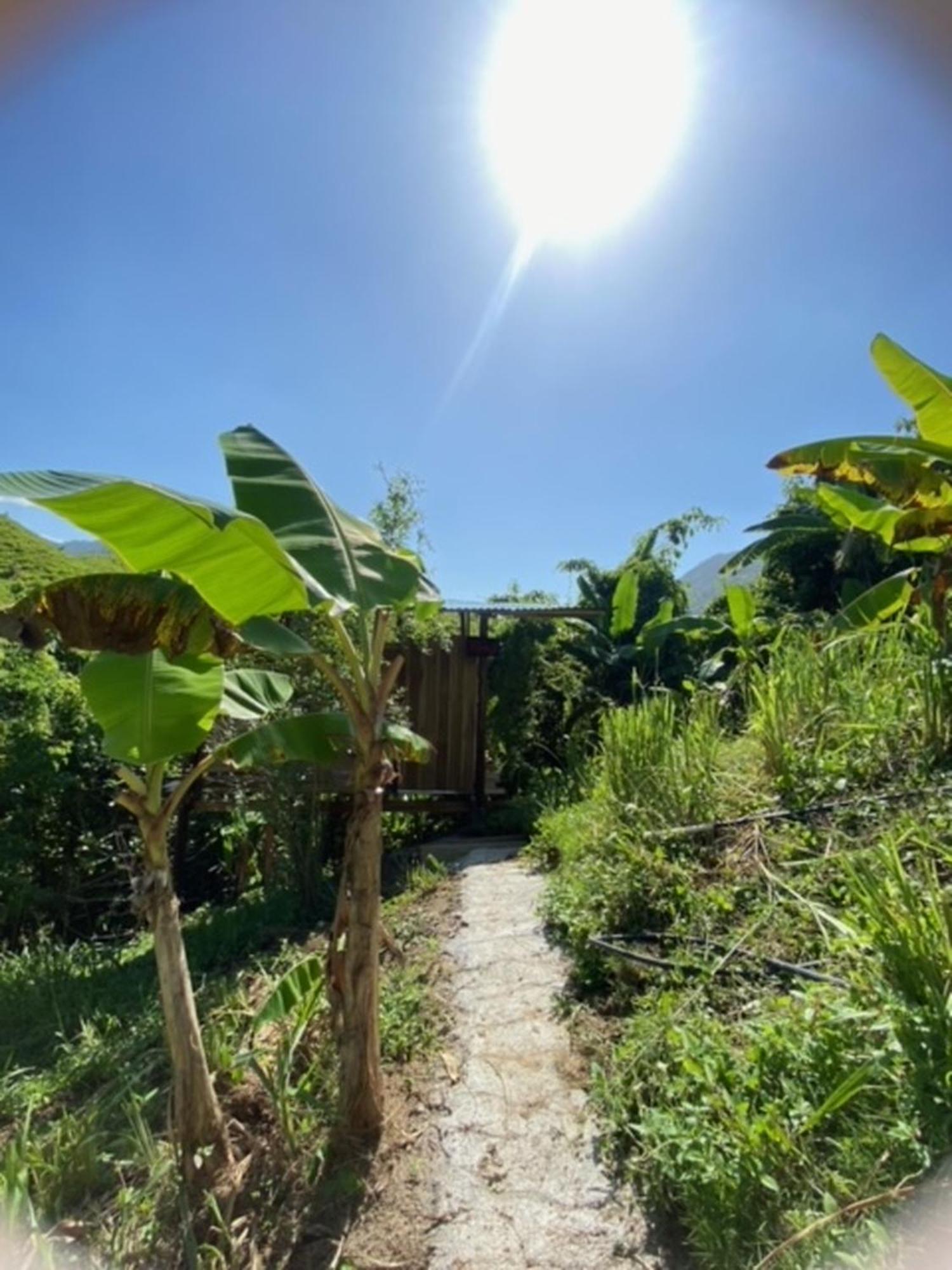 The Valley Tayrona Hostel- A Social Jungle Hostel El Zaino Eksteriør bilde