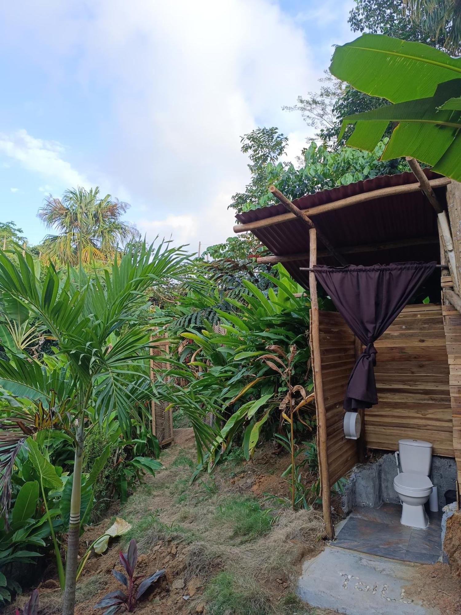 The Valley Tayrona Hostel- A Social Jungle Hostel El Zaino Eksteriør bilde