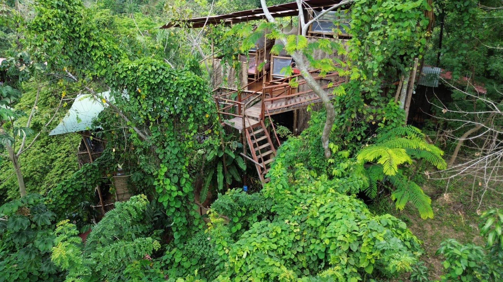 The Valley Tayrona Hostel- A Social Jungle Hostel El Zaino Eksteriør bilde