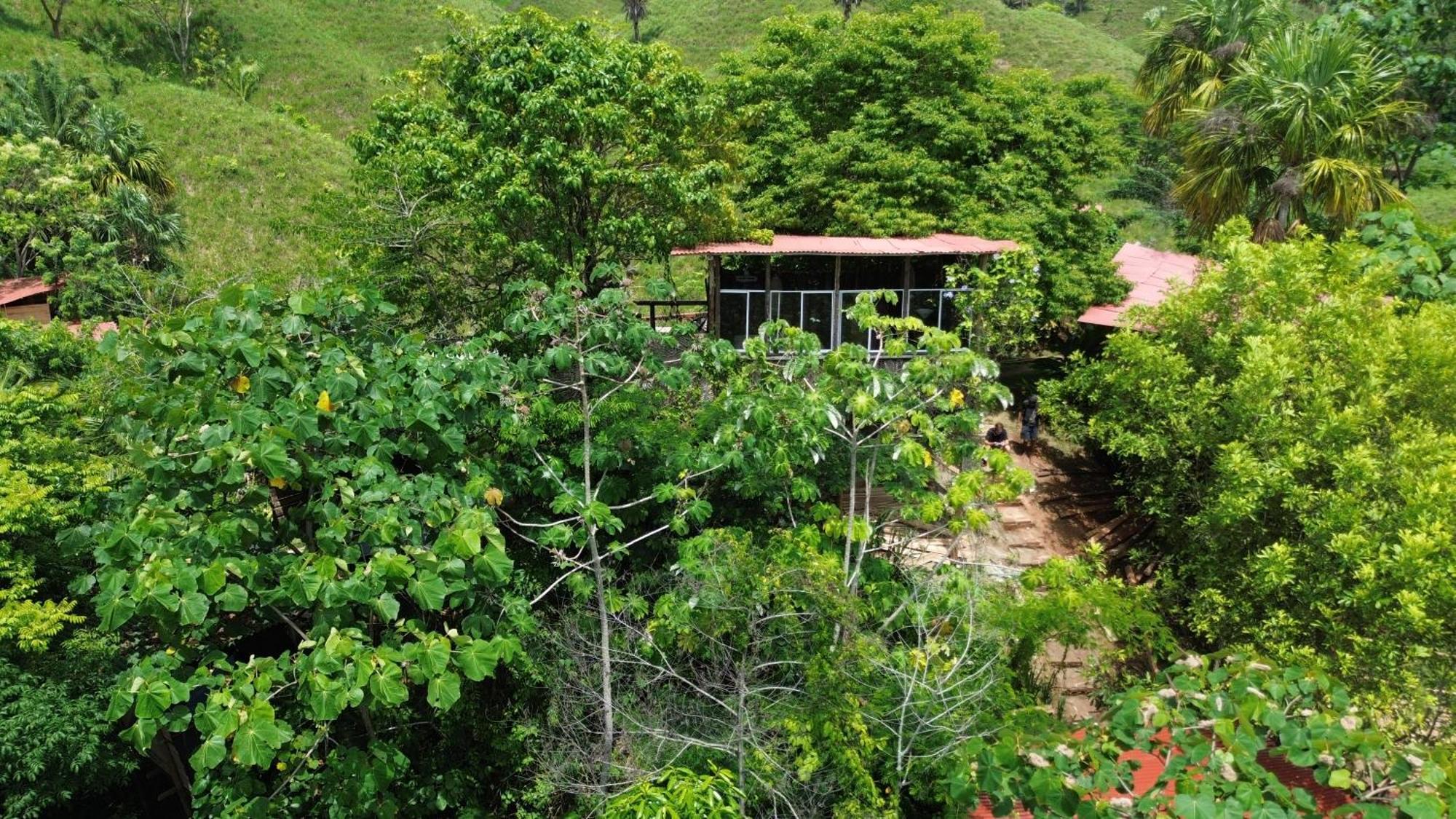 The Valley Tayrona Hostel- A Social Jungle Hostel El Zaino Eksteriør bilde