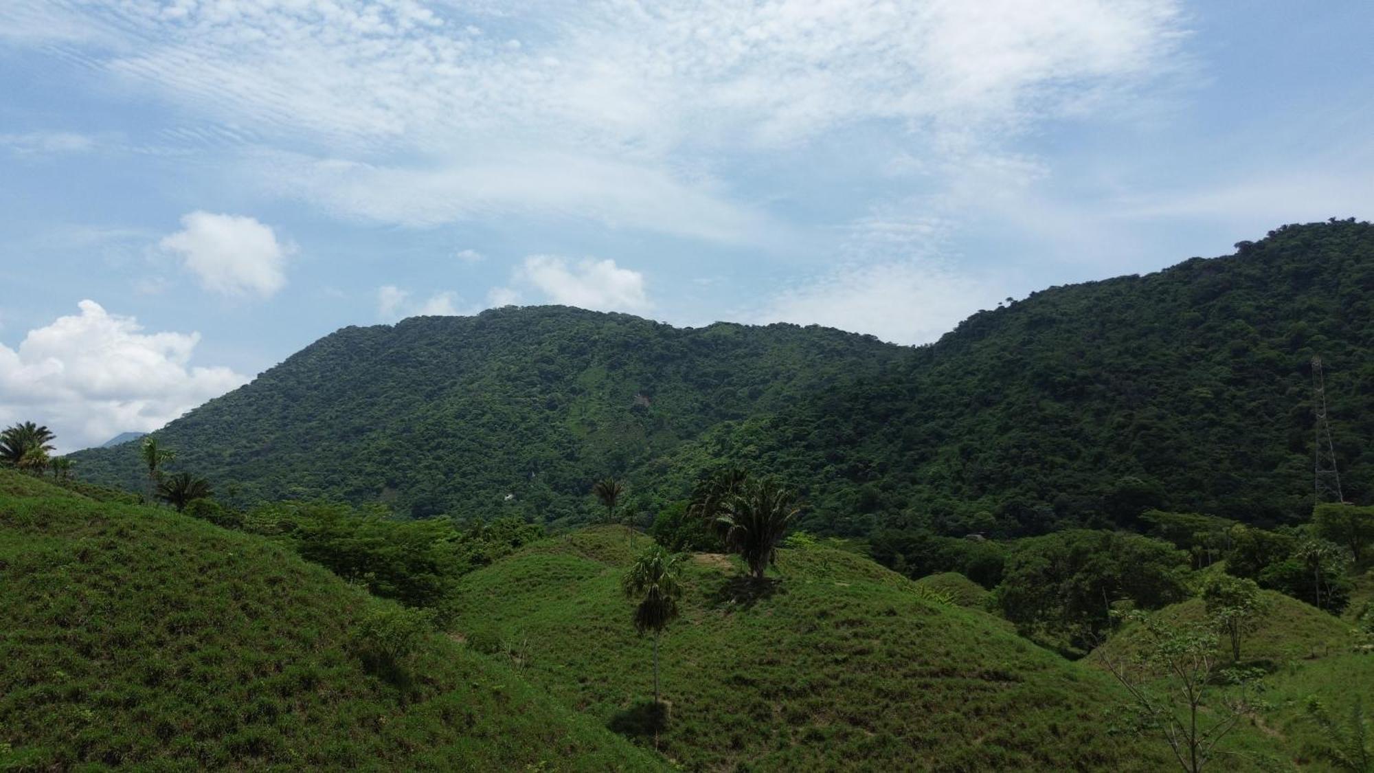The Valley Tayrona Hostel- A Social Jungle Hostel El Zaino Eksteriør bilde