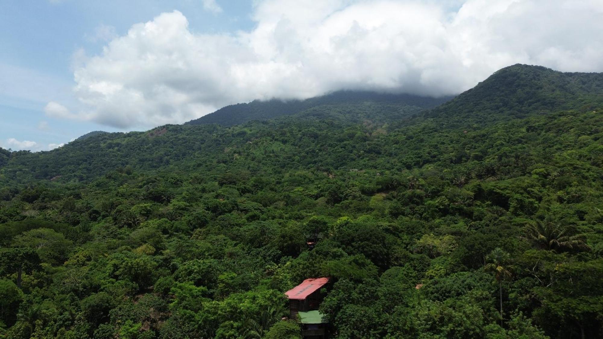 The Valley Tayrona Hostel- A Social Jungle Hostel El Zaino Eksteriør bilde