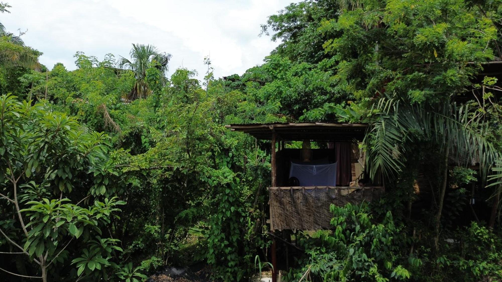 The Valley Tayrona Hostel- A Social Jungle Hostel El Zaino Eksteriør bilde