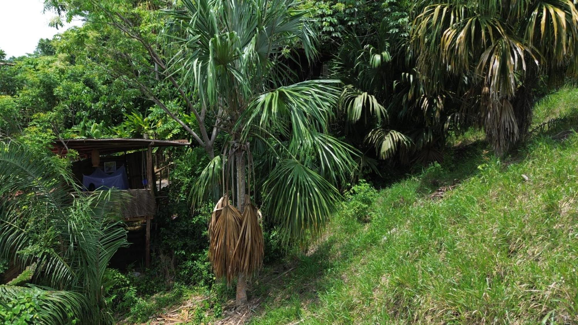 The Valley Tayrona Hostel- A Social Jungle Hostel El Zaino Eksteriør bilde