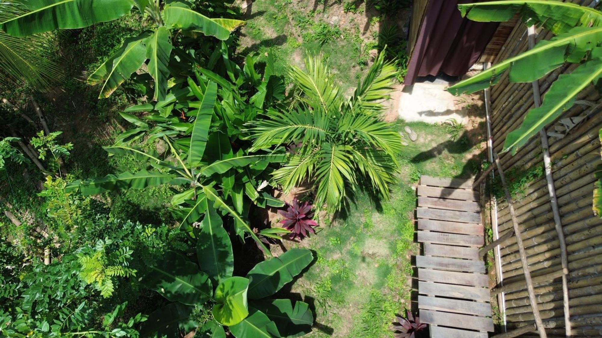 The Valley Tayrona Hostel- A Social Jungle Hostel El Zaino Eksteriør bilde