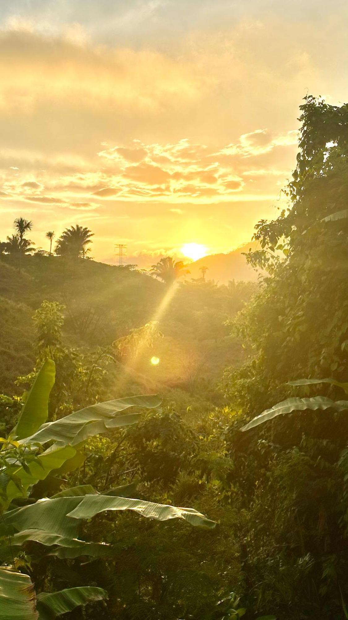 The Valley Tayrona Hostel- A Social Jungle Hostel El Zaino Eksteriør bilde