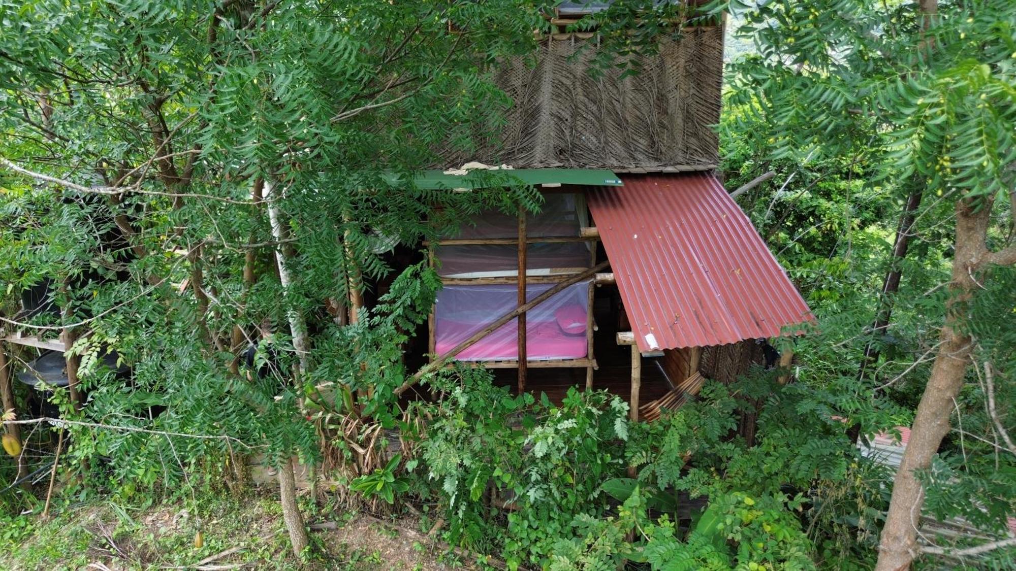 The Valley Tayrona Hostel- A Social Jungle Hostel El Zaino Eksteriør bilde