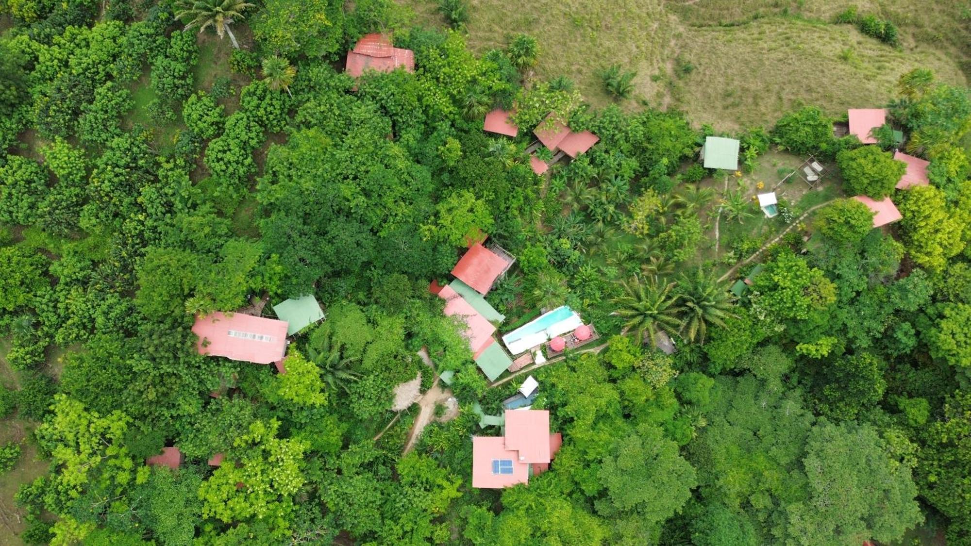 The Valley Tayrona Hostel- A Social Jungle Hostel El Zaino Eksteriør bilde