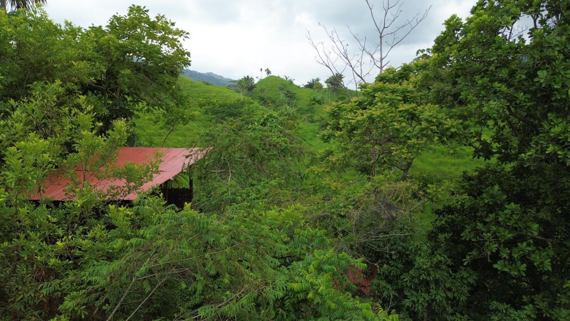 The Valley Tayrona Hostel- A Social Jungle Hostel El Zaino Eksteriør bilde