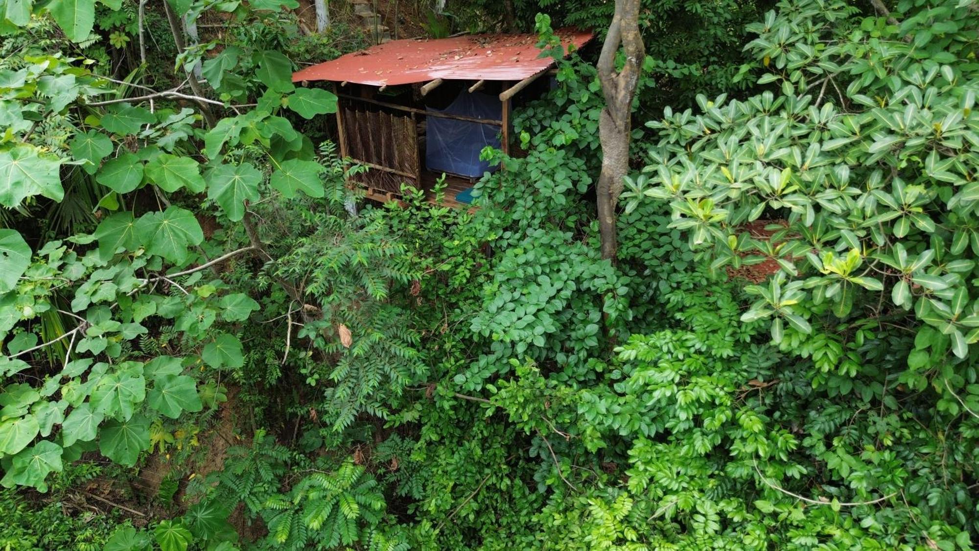 The Valley Tayrona Hostel- A Social Jungle Hostel El Zaino Eksteriør bilde