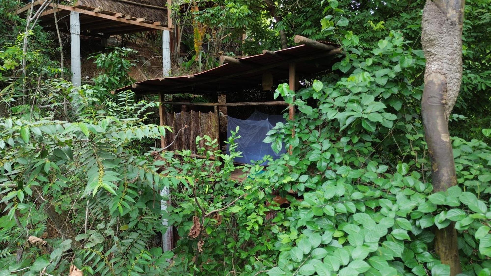 The Valley Tayrona Hostel- A Social Jungle Hostel El Zaino Eksteriør bilde