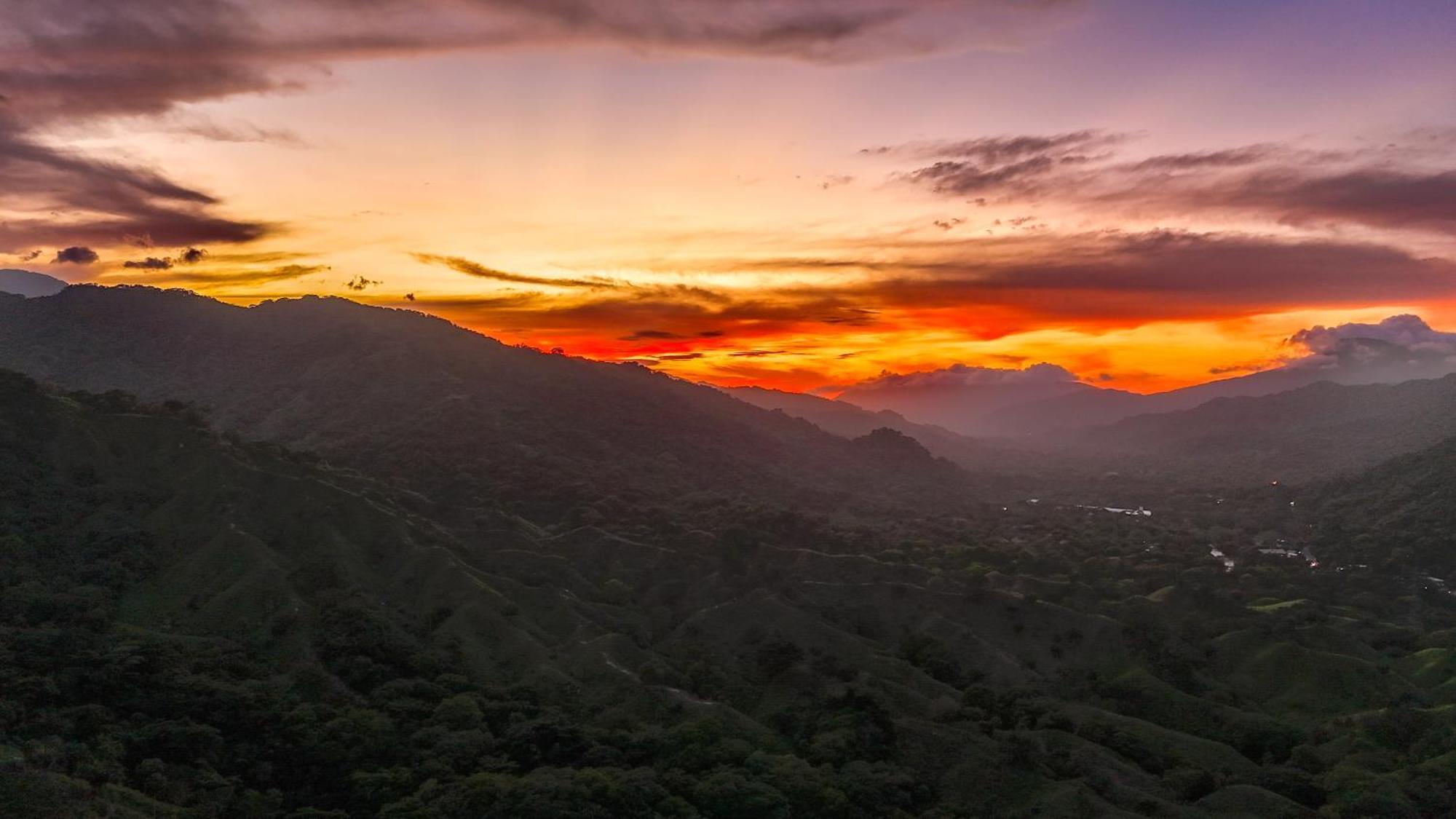 The Valley Tayrona Hostel- A Social Jungle Hostel El Zaino Eksteriør bilde