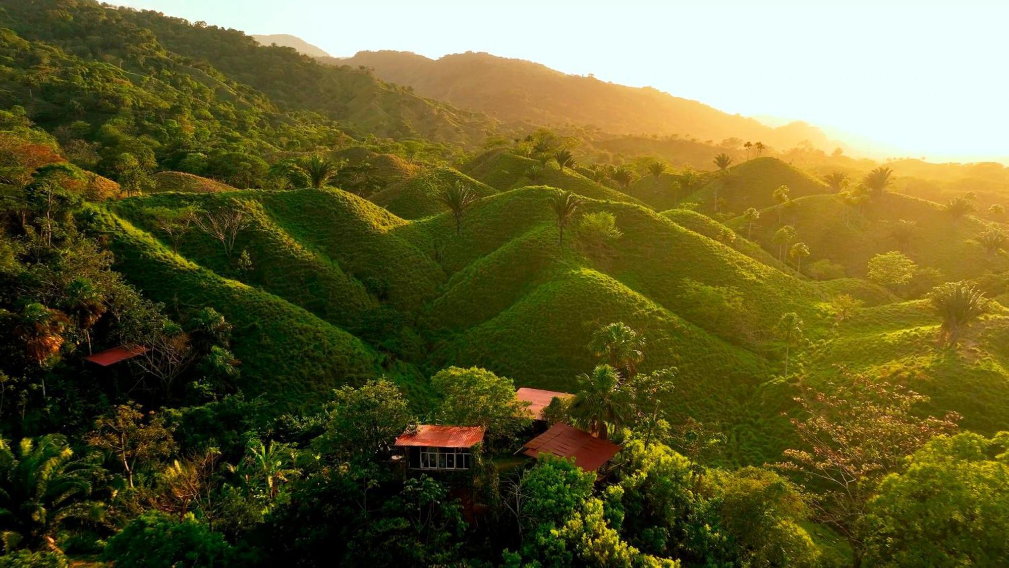 The Valley Tayrona Hostel- A Social Jungle Hostel El Zaino Eksteriør bilde